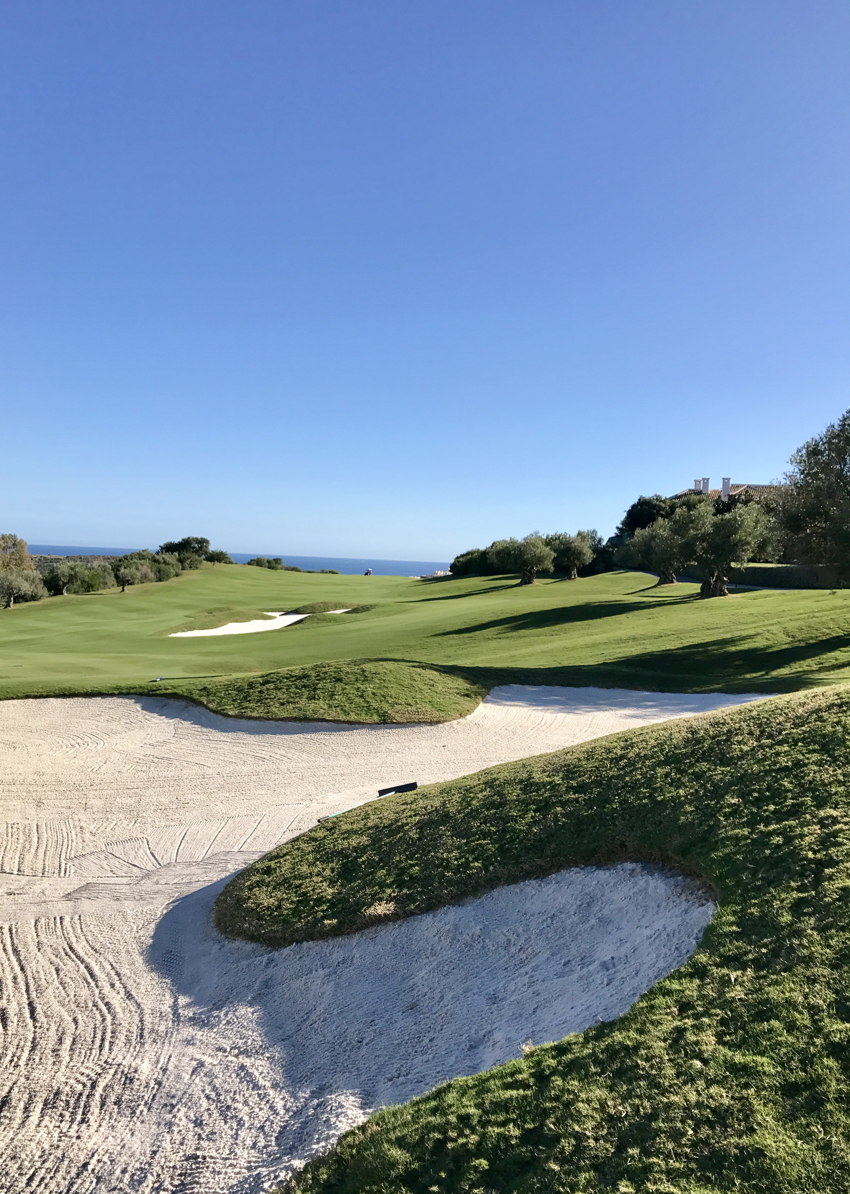 Golf Training 2